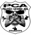 /album/galeria-de-fotos/pca-1-jpg1/